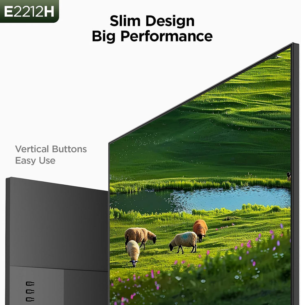 22 Inch Computer Monitor FHD 120Hz VA VESA Low Blue Light, E2212H
