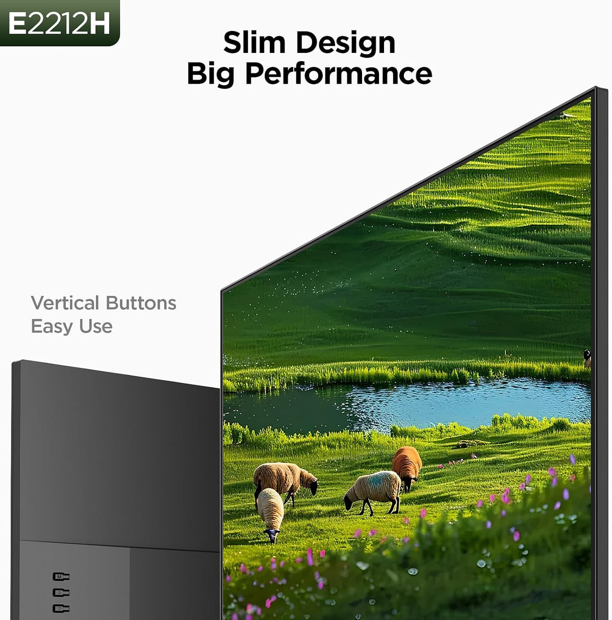 22 Inch Computer Monitor FHD 120Hz VA VESA Low Blue Light, E2212H